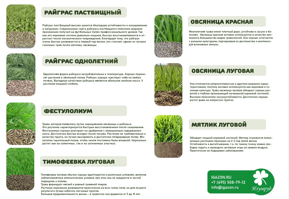 многолетние